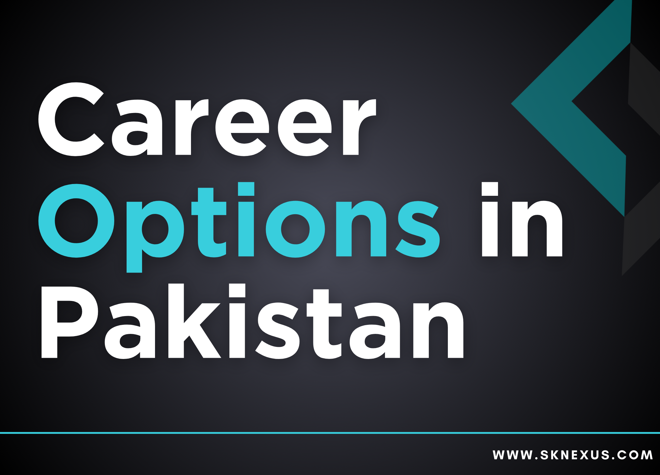 Read more about the article Career Options in Pakistan