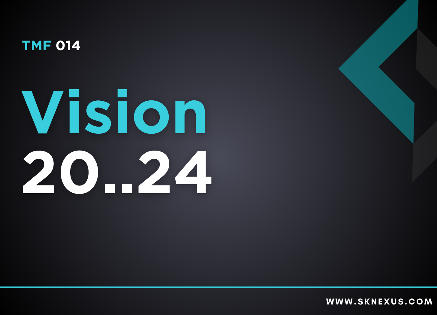 Read more about the article TMF 014 – Vision 20…24