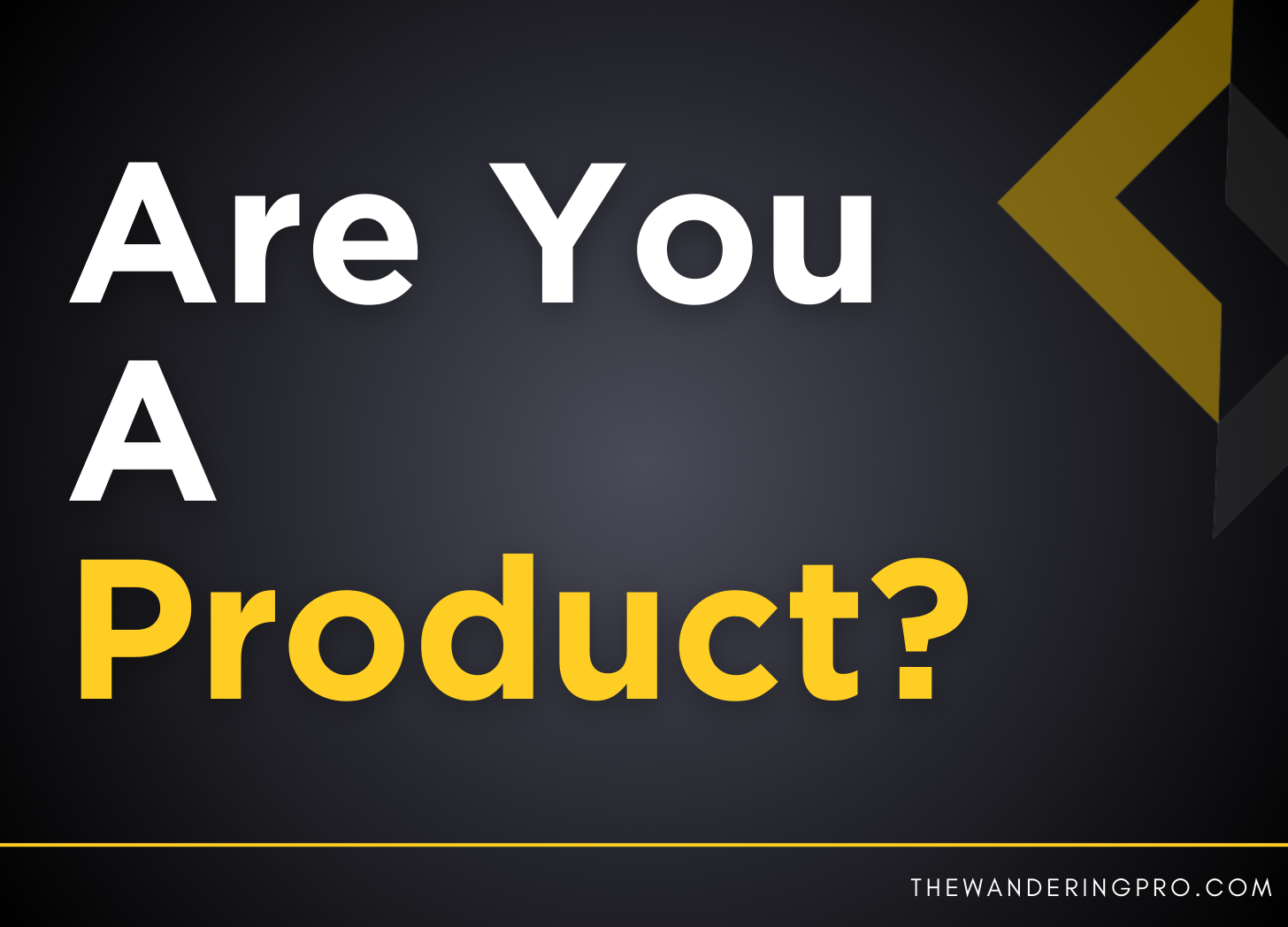 Read more about the article Are you a Product? or a Service?